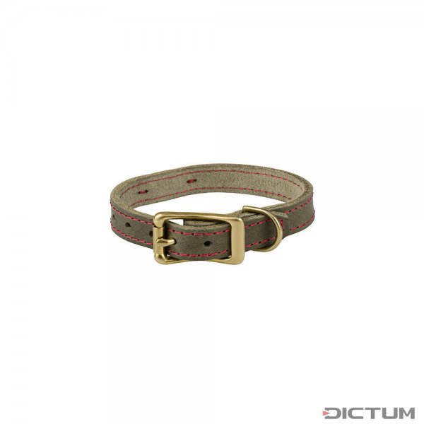 The GunDog Affair Collar, 15 mm, Size XXS
