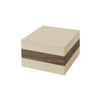 Bloc-segment émondage, 60 Bloc-segment émondage, 60 x 100 x 100 mm