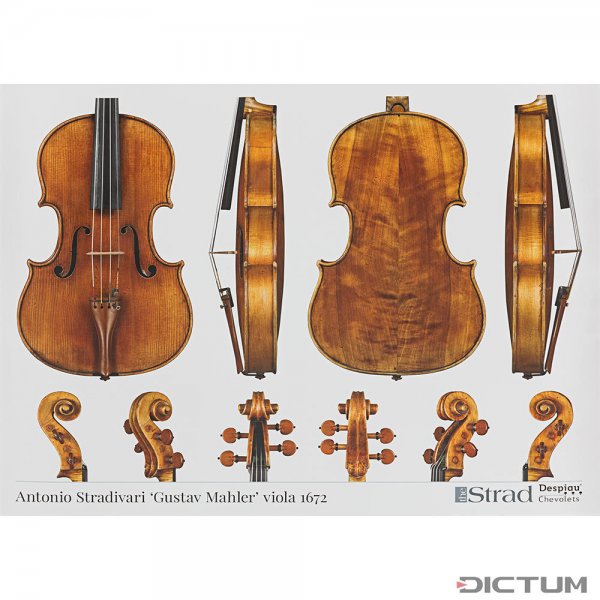 Poster, Viola, Antonio Stradivari, »Gustav Mahler« 1672