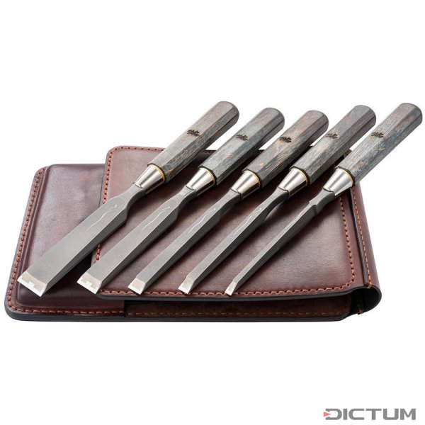 Zen-Wu Premium Titanium Chisels, 5-piece Set