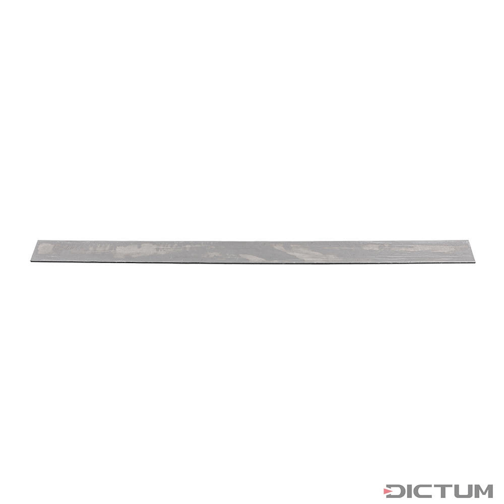 Steel Dictum