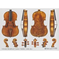 Poster, Viola, Antonio Stradivari, »Gustav Mahler« 1672