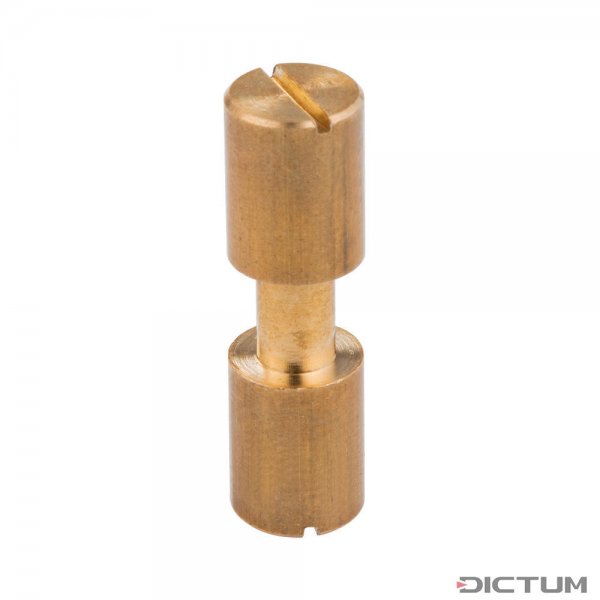 黄铜Corby螺钉铆钉，3.3 x 8毫米。