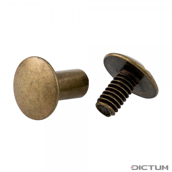 Ivan Screw Posts, 10 Pairs, Clear Length 10 mm, Antique Brass Finish