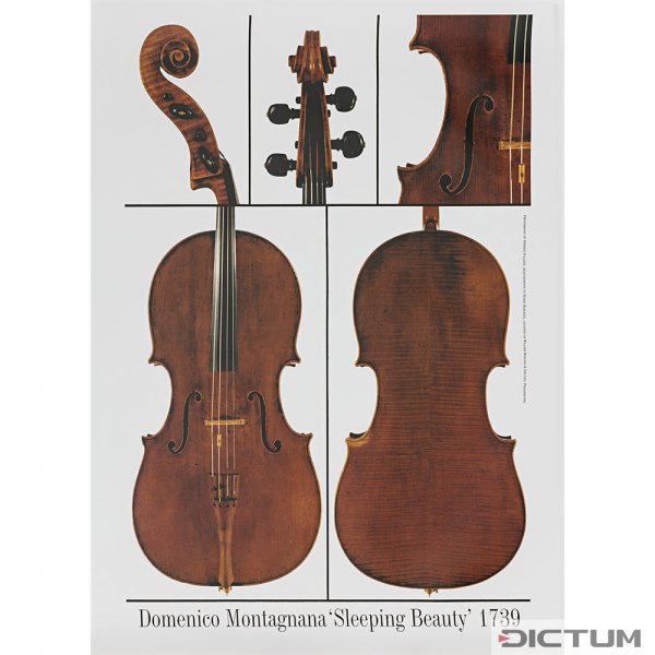 海报，大提琴，多梅尼科-蒙塔格纳纳，《睡美人》1739年。
