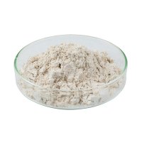 RosinLegnin 珍珠母效果粉，用于环氧树脂，银色。