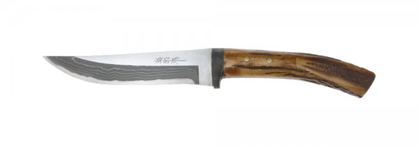 Couteau de chasse Saji, bois de cerf