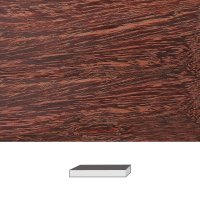 Camel Thorn, 150 x 20 x 20 mm Camel Thorn, 150 x 20 x 20 mm