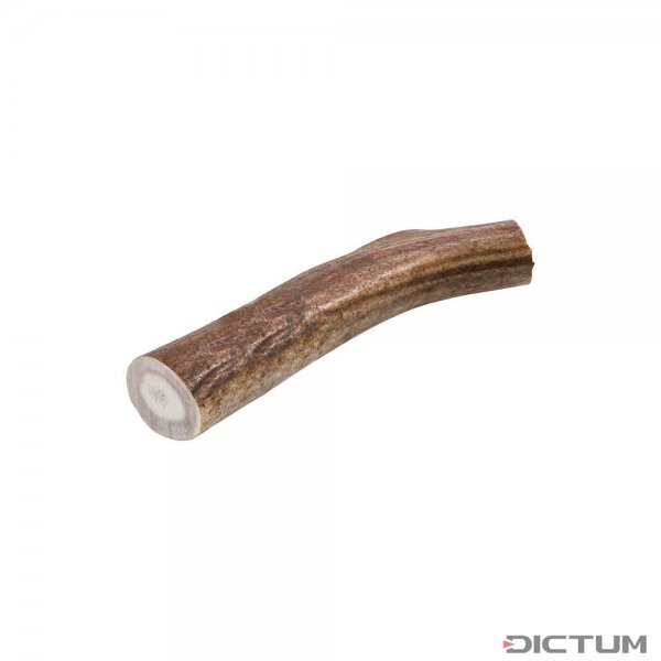 Wycinek z poroża renifera, 70-130 g