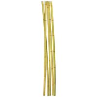 Tyczki bambusowe, szerokość 40 mm