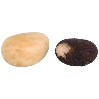 Ořechy Tagua, 1 kg