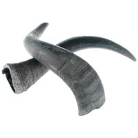 Yak-Hörner, Paar Yak-Hörner, Paar