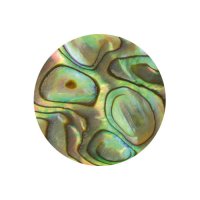 珍珠母贝，眼睛，Paua，直径2毫米。