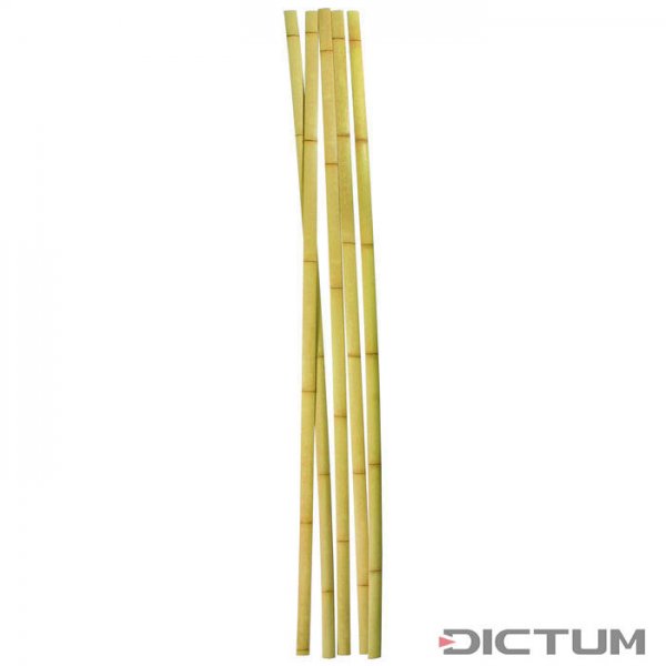 Backings de bambou, largeur 40 mm