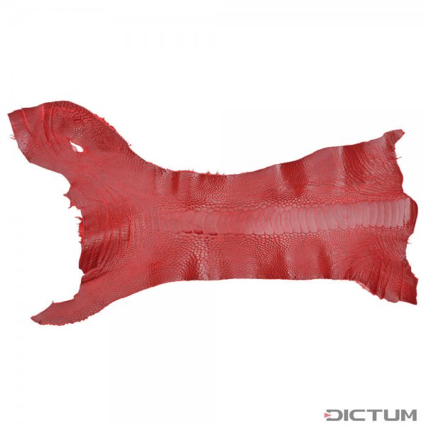 Ostrich Leg Leather, Campari Red