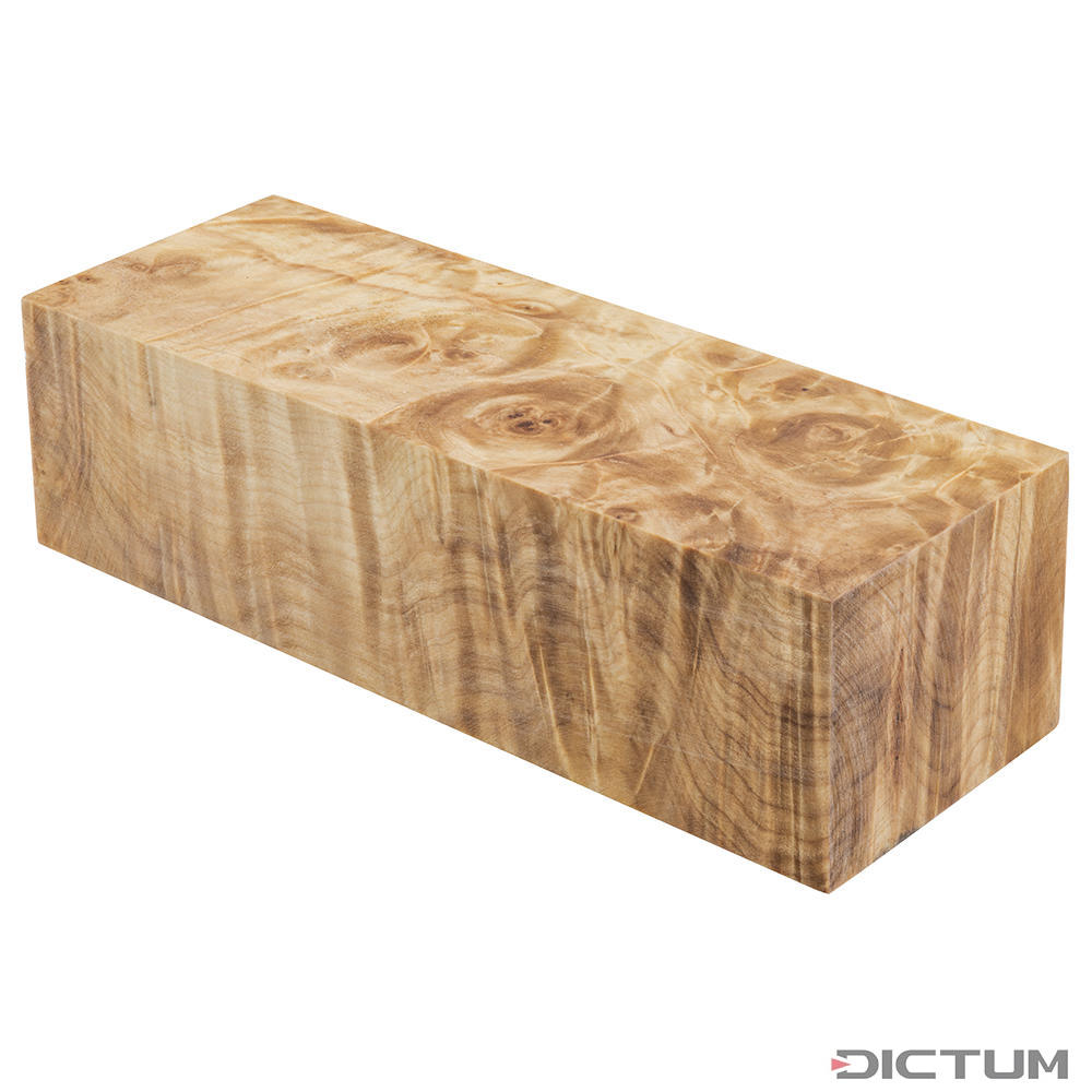 www.dictum.com