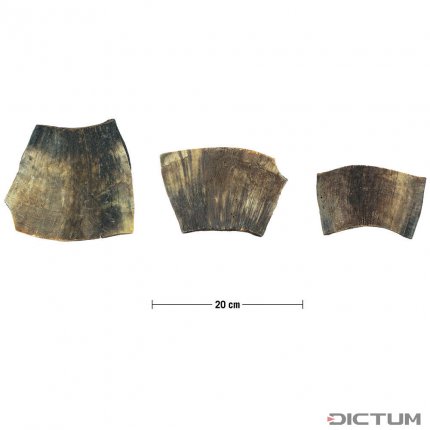 Коровий рог, пластина, 60-100 г