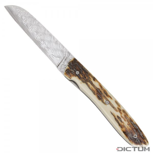 Couteau pliant Perceval L08 Damas, défense de mammouth