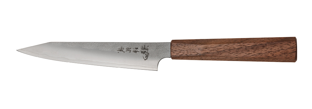 Coltello da carne e pesce, Blazen Ryu-Wa Hocho, Gyuto, Coltelli giapponesi  (Hocho)