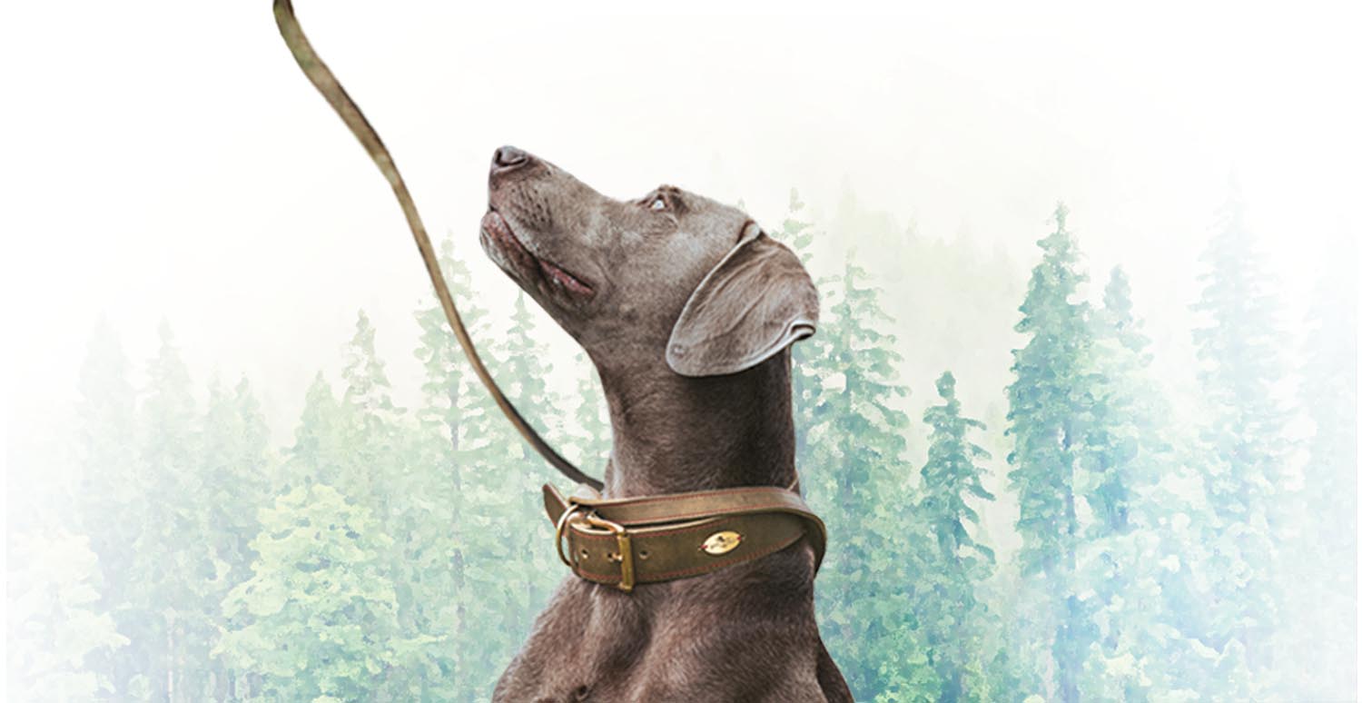 Jagd & Natur