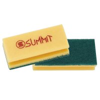 Summit 打磨/抛光垫，中号/绿色