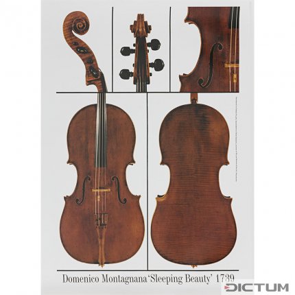 Plakát, Violoncello, Domenico Montagnana, "Šípková Růženka" 1739
