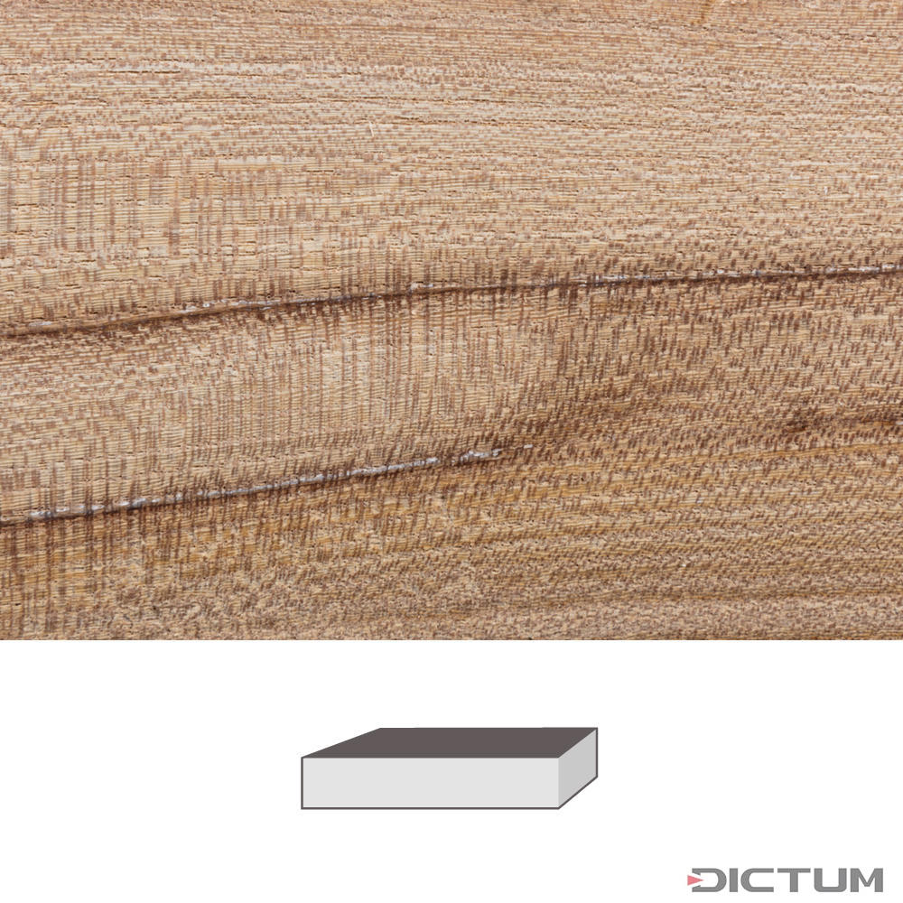 www.dictum.com