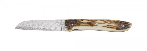 Perceval Folding Knife L08 Damask, Mammoth Tusk