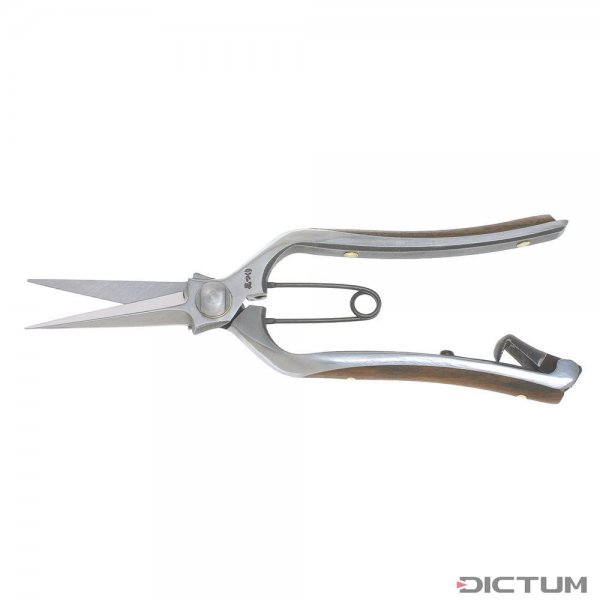 Hidehisa Rose and Harvesting Shears