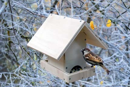 Bird house with seed feeder | Tutorials | Dictum Blog