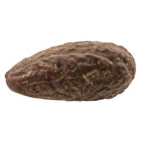 Orzech thika, Afryka Południowa