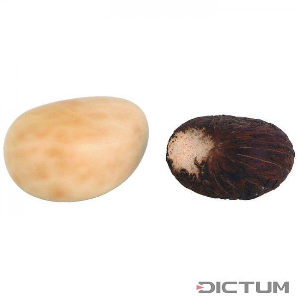 Tagua Nuts, 1 kg