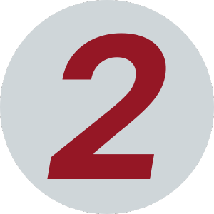 Icon 2