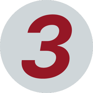 Icon 3