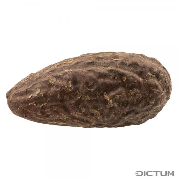Orzech thika, Afryka Południowa