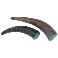 Sección de punta de Sección de punta de cuerno de búfalo, 75-130 g