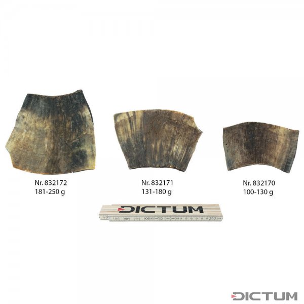 Cow Horn Plate, 100-130 g