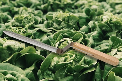Kunde Erntemesser Kunde Erntemesser