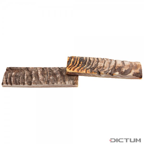 Ram's Horn, Handle Scales, Pair, 125 x 38 x 8 mm